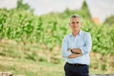 Rókusfalvy Pál, a Magyar Bormarketing Ügynökség vezetője