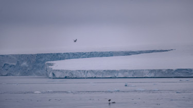 Dermesztő jelentést tett az asztalra a hírszerzés: a világ legzordabb vidékein lendül akcióba Oroszország