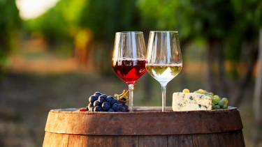 Változás kell a magyar bornak: kérdés, lesz-e aki megveszi 10 év múlva