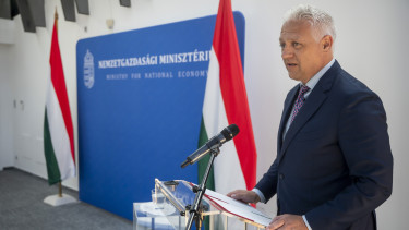 szabados richárd ngm kkv