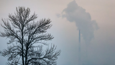 Kemény lépést tett Közép-Európa egyik legnagyobb városa: több ezer ember életét hosszabbították meg ezzel