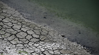 Rákkeltő anyag szivárog a Dunába