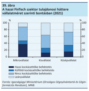 tulajdonosi kor fintech