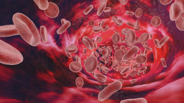 Aggasztó kutatás: tudósok olyan változást fedeztek fel az emberi vérben, aminek hosszú távú hatása lehet