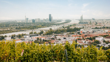 Ausztria: ugródeszka a DACH-régióba