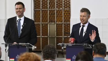Közös bejelentésre készül Magyar Péter és Vitézy Dávid: hatalmas összegek sorsa a tét