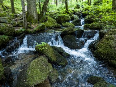 WNK_Steinbachklamm © Robert Herbst_4
