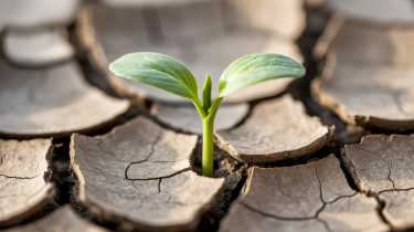 Meghosszabbította és kibővítette az MNB a zöld tőkekövetelmény-kedvezmény programját